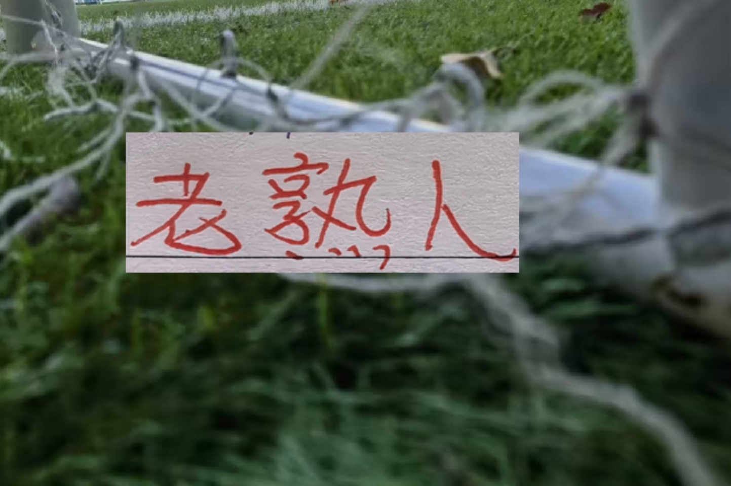 V体育官网入口-六月赛程!三大豪门再见老相识 申花遇马莱莱